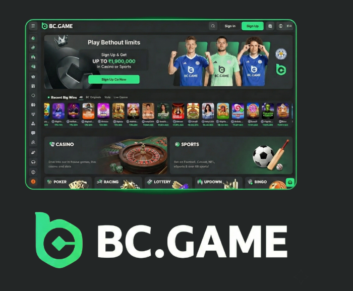 The Ultimate Guide to BC.Game Casino A New Frontier in Online Gaming